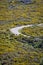 Road surrounded by Ulex parviflorus