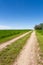 Road through the tallgrass prairie