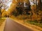 Road in Talsa park during autumn