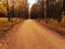 Road in Talsa park during autumn