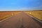 Road throught fields to the forest under cloudy sky