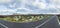 Road at timanfaya national park with tropical vegetation like ag