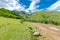 Road with tire tracks leading to mountains and