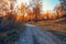 The road to the autumn forest in the early morning in the rays of the rising sun