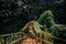 Road to the beautiful wooden Viewpoint in the fresh green forest in Indochina