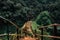 Road to the beautiful wooden Viewpoint in the fresh green forest in Indochina