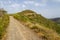 Road to Carrapateira with mountain and vegetation