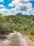 Road to Christoffelberg mountain - Christoffel National Park Curacao Views