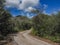 Road to Christoffelberg mountain - Christoffel National Park Curacao Views