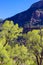 The road to Creede, Colorado, runs along the Rio Grande through the San Juan Mountains