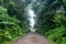 Road to Danum Valley primary rainforest in Lahad Datu