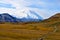 The Road to Denali in Glorious Fall