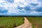 Road To Dense Green Forest Under Blue Sky.