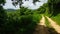 Road to Erasmus Cove cottages on the Caribean Island Tobago