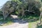 Road to the forest cabins at Storms River Mouth