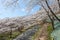 Road to Funaoka castle ruin park in Miyagi, Japan.