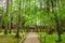 Road to Ganjin`s burial grounds, Toshodaiji Temple, Nara