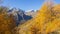 Road to the Gavia mountain pass in Italy. Amazing view of the wood and meadows during fall time. Warm colors. General fall contest