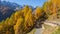 Road to the Gavia mountain pass in Italy. Amazing view of the wood and meadows during fall time. Warm colors. General fall contest