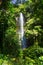 Road to Hana Waterfall Tropics Jungle