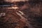 The road to the lake / river during the first autumn frosts or during the spring thaw. Image Processed in pink tones