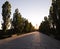 The road to Mamayev Kurgan in Volgograd in the sunset and the silhouette of the monument Motherland calls in the distance