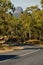 The road to mount Beerwah (Glasshouse Mountains)