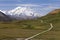 Road to mount McKinley