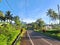 Road to the mountain with ricefield and a blue sky