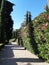 The road to the Park. Lots of greenery and flowers. Costa Brava, Spain.