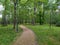 Road to the park Time for change sign Green grass Nature Landscaping.