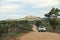 The road to Pretoriuskop with impala and car, Kruger National Park, South Africa