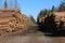 The road to the sawmill in the depths of the Urals