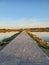 Road to the sea through the estuary, horizon, forward movement, Primorsk Ukraine