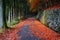 The Road to Taiyuinbyo Shrine and in Nikko, Tochigi, Japan