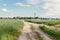 Road to the village through a field with oats