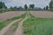 The road to the village through a plowed field