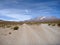 Road to volcan isluga at chilean altiplano