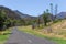 Road to Warrumbungle National Park
