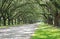 Road to Wormsloe Historic Site