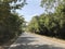 Road towards Phanom Sawai Forest Park