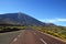 Road towards volcano El Teide at the valley of National Park of Las Canadas,Tenerife.