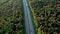 Road traffic, aerial view. Highway at forest with trees in autumn.