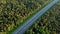 Road traffic, aerial view. Highway at forest with trees in autumn.