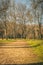 Road trail, pathway, footpath in autumn forest. Autumn trail hiking road in green forest morning fog. Pathway road in mountain