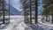 A road trampled in the snow comes out of the forest onto a frozen lake.