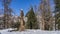 A road trampled in the snow passes through the forest.