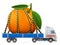 Road transportation of fresh orange fruit