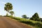 Road, Tree, Grass And Sky