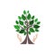 Road tree logo or icon